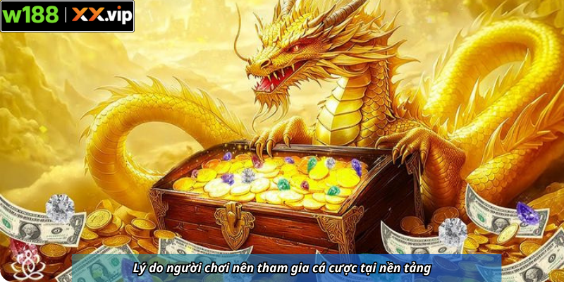 Lý do người chơi nên tham gia cá cược tại nền tảng