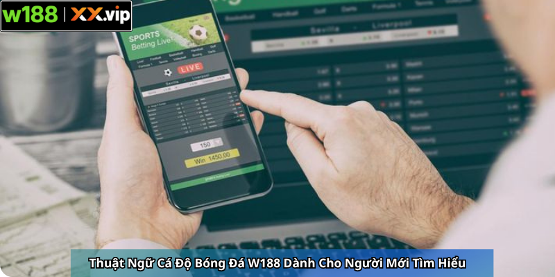 Thuật Ngữ Cá Độ Bóng Đá W188 Dành Cho Người Mới Tìm Hiểu
