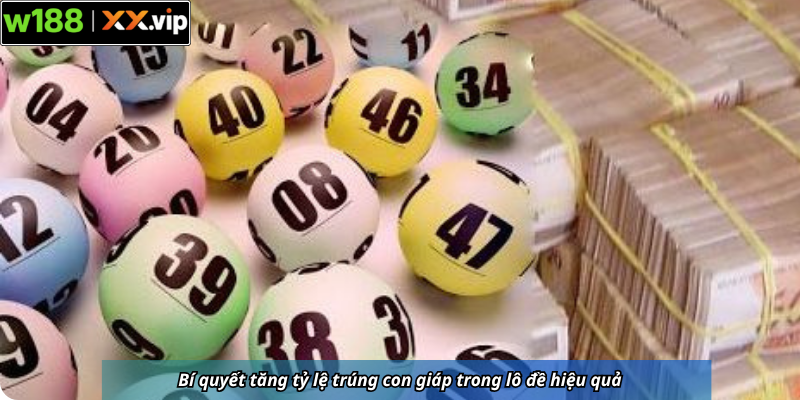 Bí quyết tăng tỷ lệ trúng con giáp trong lô đề hiệu quả