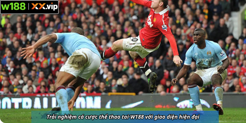 Trải nghiệm cá cược thể thao tai·W188 với giao diện hiện đại