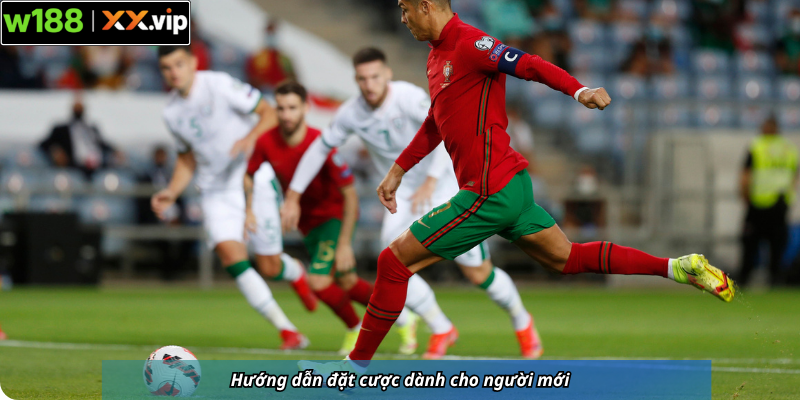 Hướng dẫn đặt cược dành cho người mới