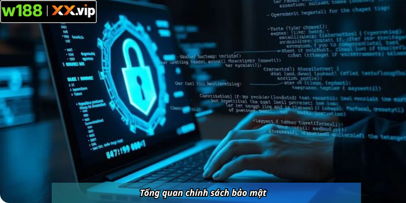 Tổng quan chính sách bảo mật