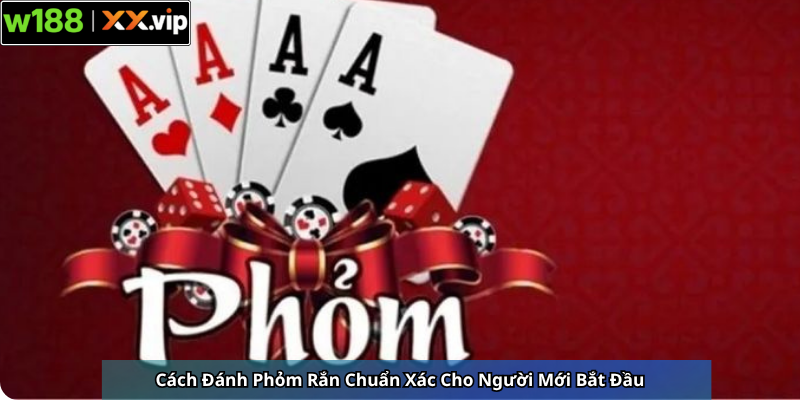 Cách Đánh Phỏm Rắn Chuẩn Xác Cho Người Mới Bắt Đầu