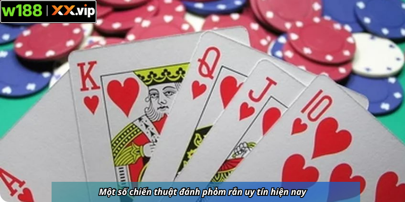 Một số chiến thuật đánh phỏm rắn uy tín hiện nay