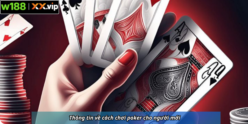 Thông tin về cách chơi poker cho người mới